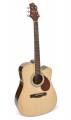 dreadnought guitar, solid spruce...