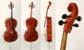 Cello luthier Streichinstrumente...