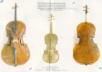 Cello Vincenzo Panormo 1771